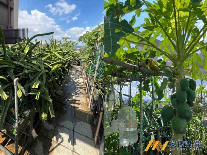 鄉林以綠色生活DNA創造住宅價值