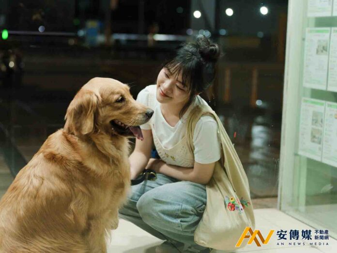 信義房屋《成為家的我們》上線破百萬觀看